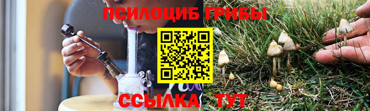 Галлюциногенные грибы прущие грибы Подольск