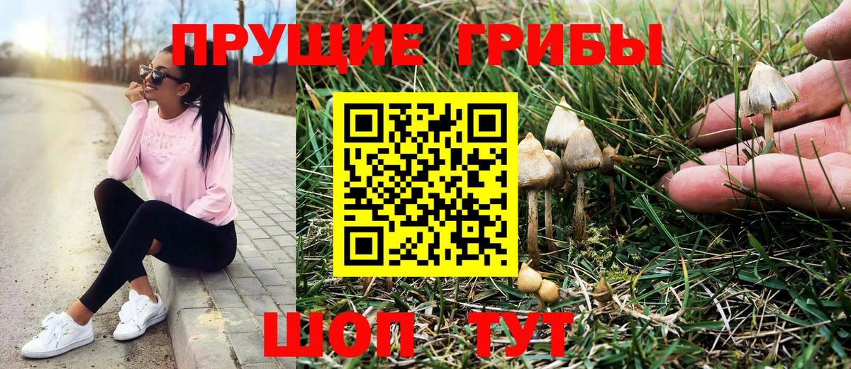 Галлюциногенные грибы ЛСД  Псилоцибиновые грибы MAGIC MUSHROOMS  Вход с VPN  Подольск 